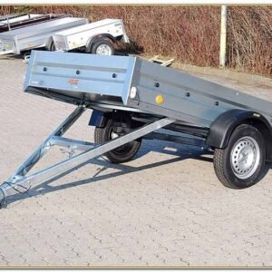 Anhänger Neptun Praktik N7-236 Handkipper