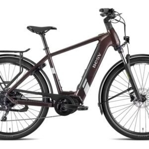 BESV TR 1.3 Step Over 630 Wh 28 Zoll Diamant