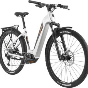 BESV TRX Urban 1.1 LS 720 Wh 29 Zoll Tiefeinsteiger