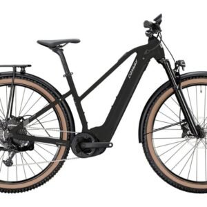 CONWAY Cairon SUV 4.0 Trapez 750 Wh 29 Zoll