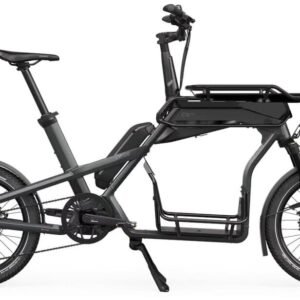 Cago CS100 SmartphoneGrip 725 Wh 20 Zoll Long John