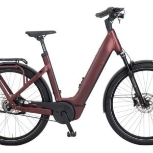 E-Bike Manufaktur 5NF 750 Wh 27,5 Zoll Tiefeinsteiger