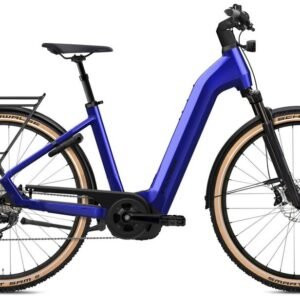 Flyer G1 Gotour 7.12 XC 750 Wh 28 Zoll Tiefeinsteiger