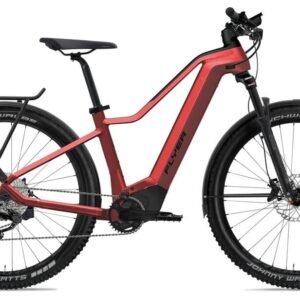 Flyer Goroc2 2.10 750 Wh 29 Zoll Diamant