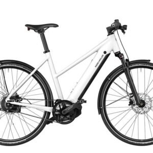 Riese und Müller Roadster4 Mixte vario 625 Wh 28 Zoll Trapez