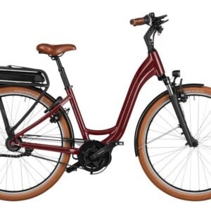 Riese und Müller Swing4 vario 500 Wh 28 Zoll Tiefeinsteiger 2026