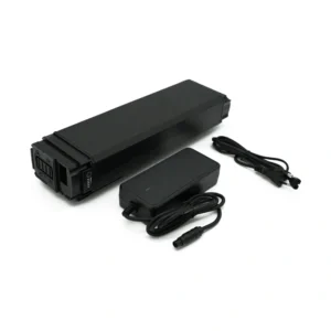 Shimano BT E6001 36V 13.5Ah Ersatz + Ladegerät EYXON